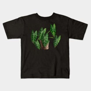 Alocasia Micholitziana Frydek Kids T-Shirt